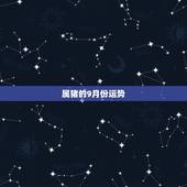 属猪的9月份运势，属猪9月生今年运势及财气