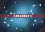 鸡跟猴属相婚配如何，女属鸡与什么属相最配合