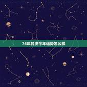 74年的虎今年运势怎么样，74年属虎女问今年工作运势如何？