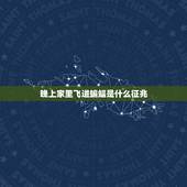 晚上家里飞进蝙蝠是什么征兆，半夜家里飞进一只蝙蝠有什么预兆 &amp;lt;注。19