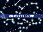 虎年出生的宝宝取什么小名好 适合属虎宝宝的乳名
