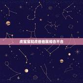 虎宝宝和虎爸爸属相合不合，虎爸爸和虎宝宝合不合？