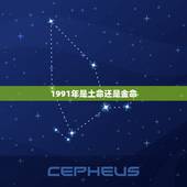1991年是土命还是金命，1985海中金与1992剑锋金婚姻