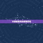 夫妻都属鸡的婚姻好吗，两个属鸡人结为夫妻命运如何