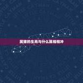 属猪的生肖与什么属相相冲，属猪与什么属相不合