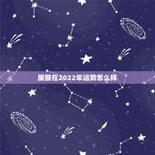 属猴在2022年运势怎么样，1980年生女猴2022年运势