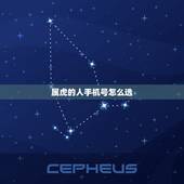 属虎的人手机号怎么选，1974属虎的更佳手机号尾数