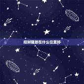 招财猫放在什么位置好，招财猫摆放位置有哪些风水忌讳