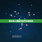 属牛的人跟属牛的可以婚配吗，属牛的和什么属相最相配 12属相婚配表