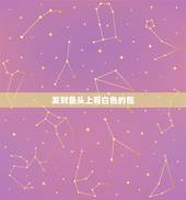 发财鱼头上有白色的包，财神鱼头上有白色的坑是什么病？