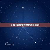 2021年属兔烂桃花几月结束，属兔2021年桃花运