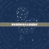男孩属狗的找什么属相最好，本人是属狗的…该找个什么属相的男人最好