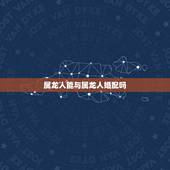 属龙人能与属龙人婚配吗，属龙的人和属龙的人相配吗？