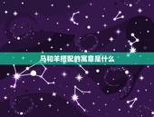 马和羊搭配的寓意是什么，马的吉祥寓意是什么