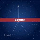 星座情感配对，十二星座应怎样配对？