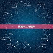 属猴十二月运势，农历属猴十二月十四男孩的一生运势