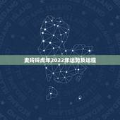 麦玲玲虎年2022年运势及运程 2022年运势最好的生肖