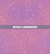 室内放什么植物最好招财，室内植物摆放风水有什么禁忌吗？