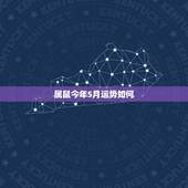 属鼠今年5月运势如何，我是农历1984年5月2日的，属鼠.请问今年的运