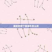 属蛇的带个属相牛怎么样，属蛇的戴什么属相好