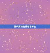 属鸡属猪的属相合不合，属猪和鸡属相合不合