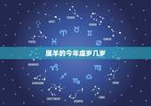 属羊的今年虚岁几岁，属羊的人今年几岁