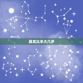 属龙比羊大几岁，属羊的今年多大2022 年