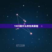 1931属什么的生肖属相，请问1931年属什么生肖？