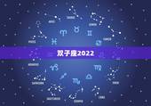 双子座2022.8运势，2021年双子座全年运势
