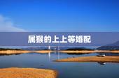 属猴的上上等婚配，1992年男属猴婚配属相