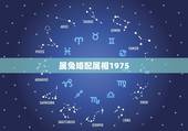 属兔婚配属相1975，属兔女1975配什么属相相克