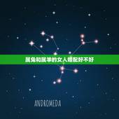 属兔和属羊的女人婚配好不好，男属兔的能和属羊女的在一起幸福吗
