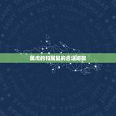 属虎的和属鼠的合适婚配，属鼠和属虎相配吗