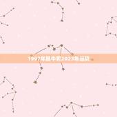 1997年属牛男2023年运势(牛男2023年财运旺盛事业顺利)