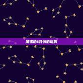 属猪的6月份的运势，属猪2018年运势及运程女性