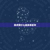 属虎做什么最容易发财，属虎的人做生意起什么字带来财运