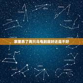 家里养了两只乌龟到底好还是不好，听说乌龟能影响家里的风水，我想养两只乌