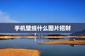 手机壁纸什么图片招财，手机壁纸放什么图片最招财