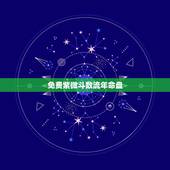 免费紫微斗数流年命盘，大师指点流年紫微斗数命盘