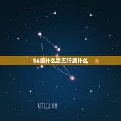 96年什么命五行属什么，96年9月19女五行属于什么