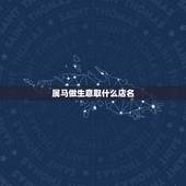 属马做生意取什么店名，属马的美容院起什么店名好