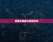 男属羊婚配女属狗好吗，男属羊女属狗婚配怎样？
