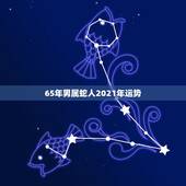 65年男属蛇人2021年运势，属蛇人2021年每月运势运程每月
