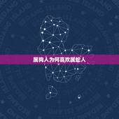 属狗人为何喜欢属蛇人，属蛇和属狗的人在一起好不好