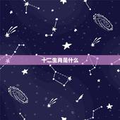 十二生肖是什么，十二生肖的动物是什么样子的