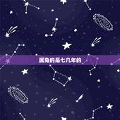 属兔的是七几年的，属蛇的是一九七几年