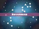 属相马与鸡婚配怎样，属马男和属鸡女婚配好么