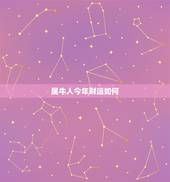 属牛人今年财运如何，属牛今日财运数字