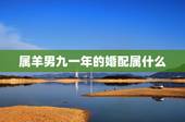 属羊男九一年的婚配属什么，1991年属羊男孩要配哪个属相合婚呢？