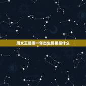 周文王是哪一年出生属相是什么，周文王的生卒年？